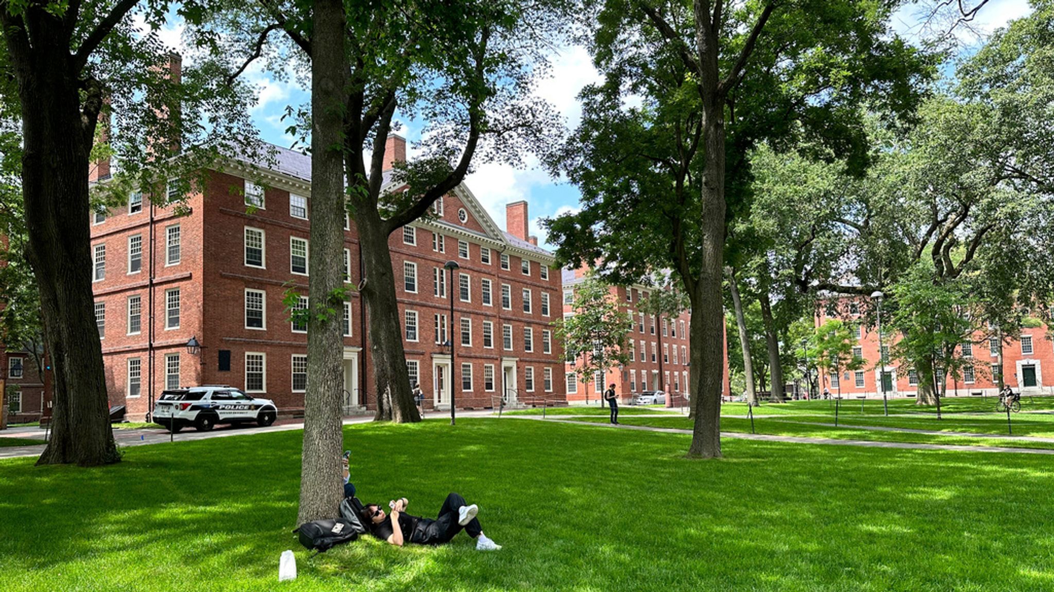 Harvard University sues over $2.2bn funding freeze after rejecting ...