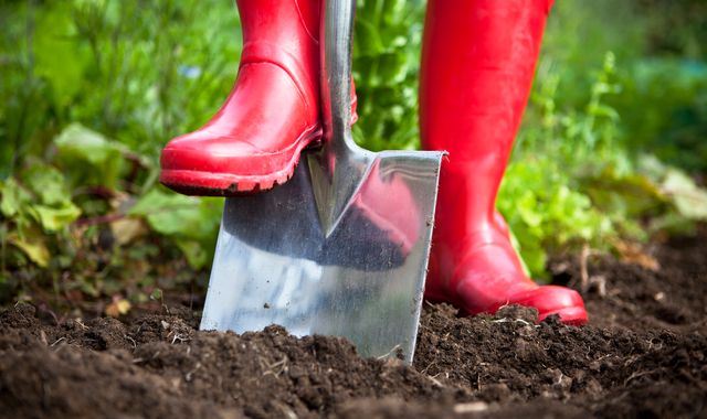 B&Q says don't dig your garden - it's bad for your soil and the environment - Vimarsana News