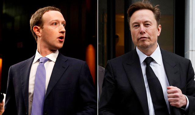 Elon Musk and Mark Zuckerberg's fight plan may have stalled - but they