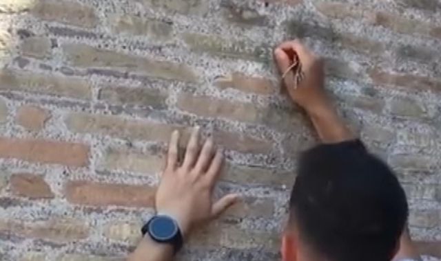 Man who carved names into Rome's Colosseum writes apology letter and says he 'didn't... - Vimarsana News