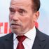 Arnold Schwarzenegger apologises for groping women 20 years on from allegations