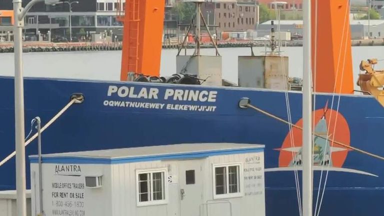 polar prince