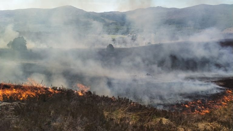 The wildfire near Cannich. Pic: Forestry and Land Scotland
