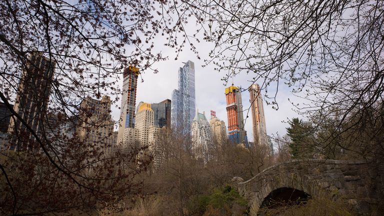 Dog fatally stabbed in New York&#39;s Central Park after &#39;verbal dispute&#39; between dog walkers. Pic: AP

