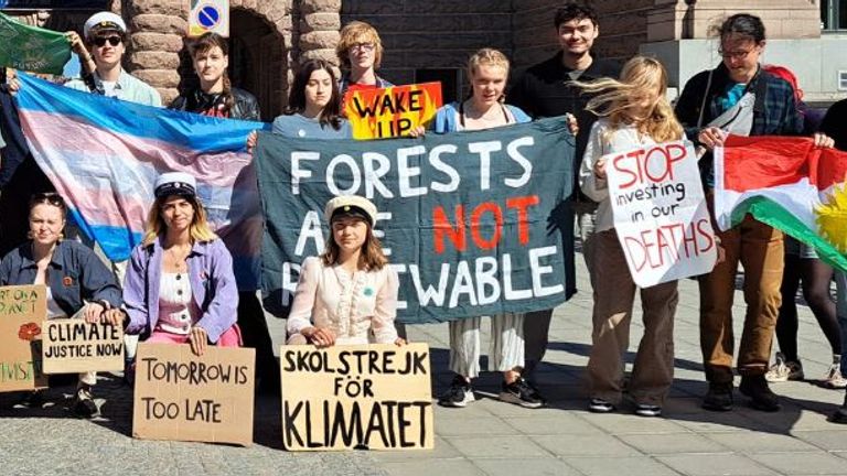 The climate activist on her last school strike. Pic: Greta Thunberg/Twitter