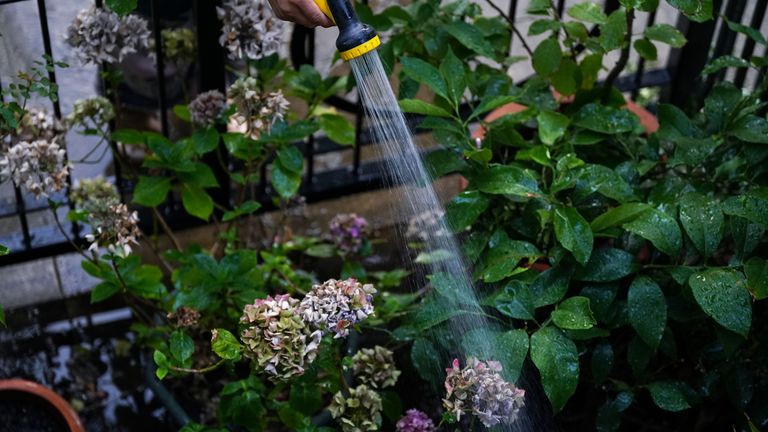 File photo dated 23/08/22 of a woman watering her front garden, as a hosepipe ban is set to come in across Kent and Sussex due to a record demand for drinking water, South East Water bosses said.