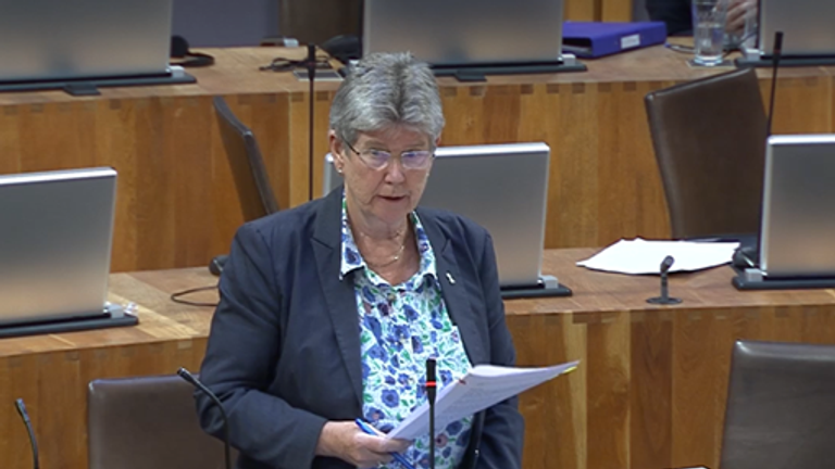Jane Hutt, the Welsh government&#39;s social justice minister. Pic: Senedd.TV