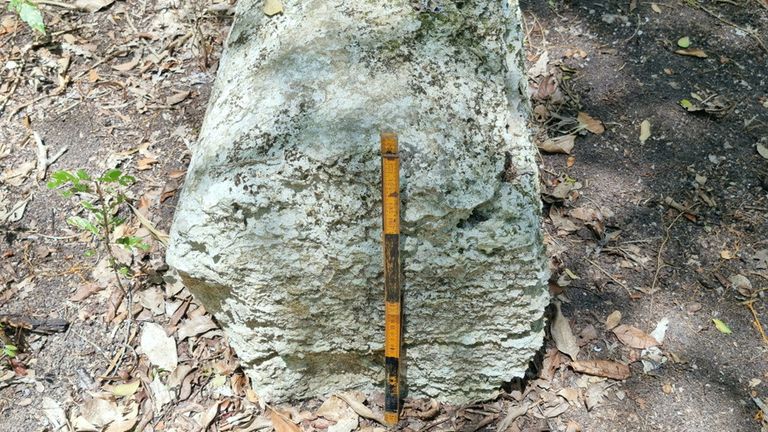 A stone column is pictured after archaeologists from Mexico&#39;s National Institute of Anthropology and History (INAH) discovered an ancient Mayan city inside the Balamku ecological reserve in Campeche state, Mexico in this photo released and distributed by Mexico&#39;s National Institute of Anthropology and History on June 20, 2023. Mexico&#39;s National Institute of Anthropology and History/Handout via REUTERS THIS IMAGE HAS BEEN SUPPLIED BY A THIRD PARTY. NO RESALES. NO ARCHIVES