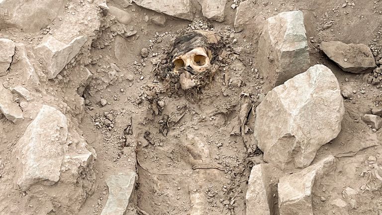 The remains of a mummy, believed to be from the Manchay culture which developed in the valleys of Lima between 1,500 and 1,000 BCE, are pictured at the excavation site of a pre-Hispanic burial, in Lima, Peru June 14, 2023. REUTERS/Anthony Marina NO RESALES. NO ARCHIVES
