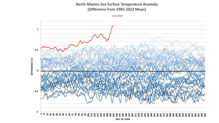 North Atlantic Sea surface temperatures 
Source: NOAA/Climate Reanalyzer