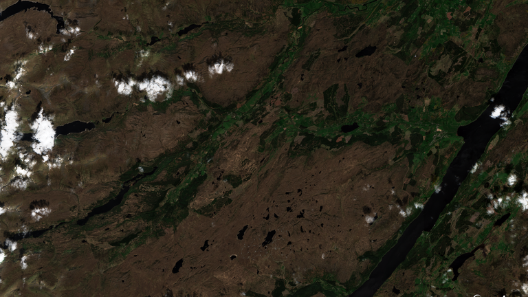 Wildfire near Cannich in the Scottish Highlands. Pic: Sentinel Hub