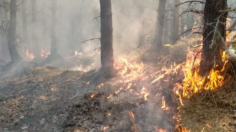 The wildfire near Cannich. Pic: Forestry and Land Scotland