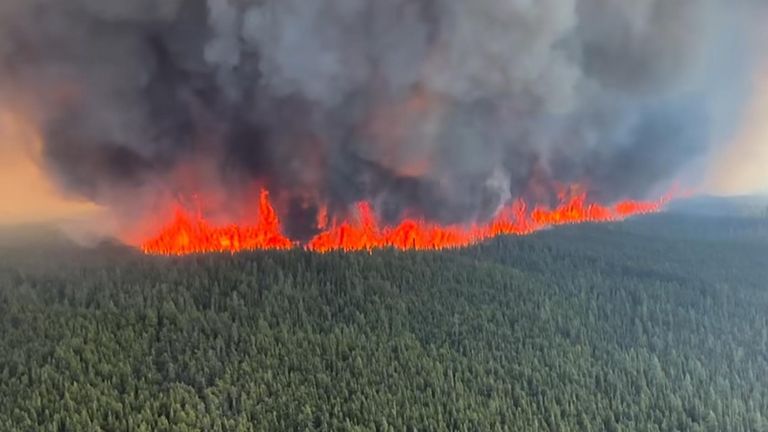 Fire activity is expected to increase across parts of British Columbia with Canada set to experience its worst year on record.  Video shared by British Columbia Wildfire Service shows a fire ripping its way through the forests of Tumbler Ridge. Pic: Pic: BC Wildlife Service