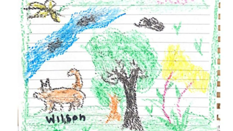 A drawing of Wilson done by one of the children in hospital. Pic: National Army of Colombia