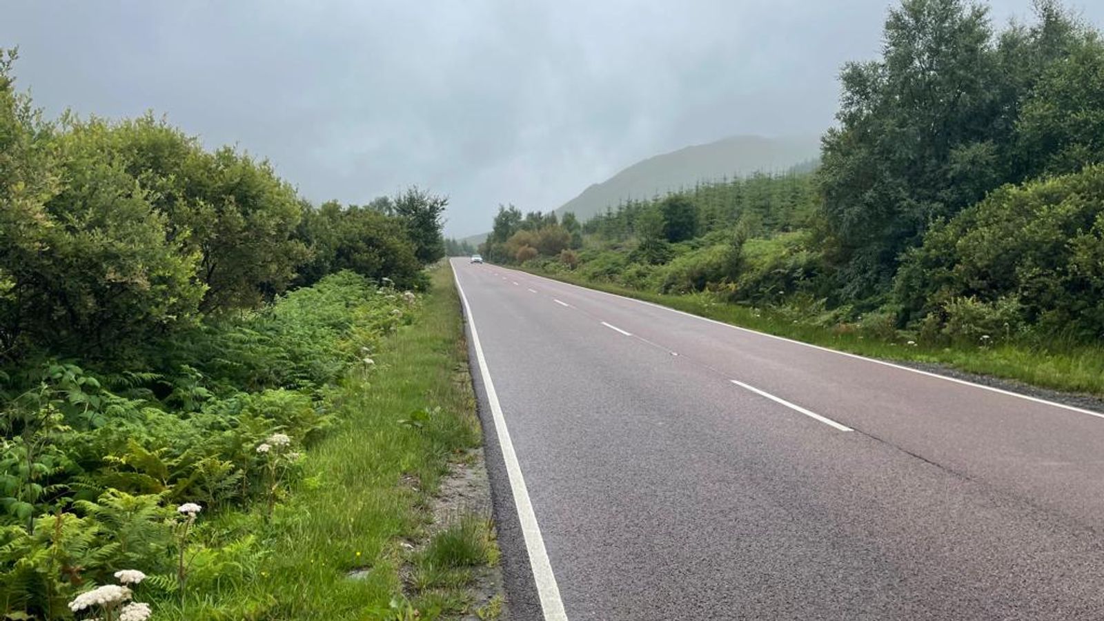 Killer driver Alexander McKellar caught after taking girlfriend to peat