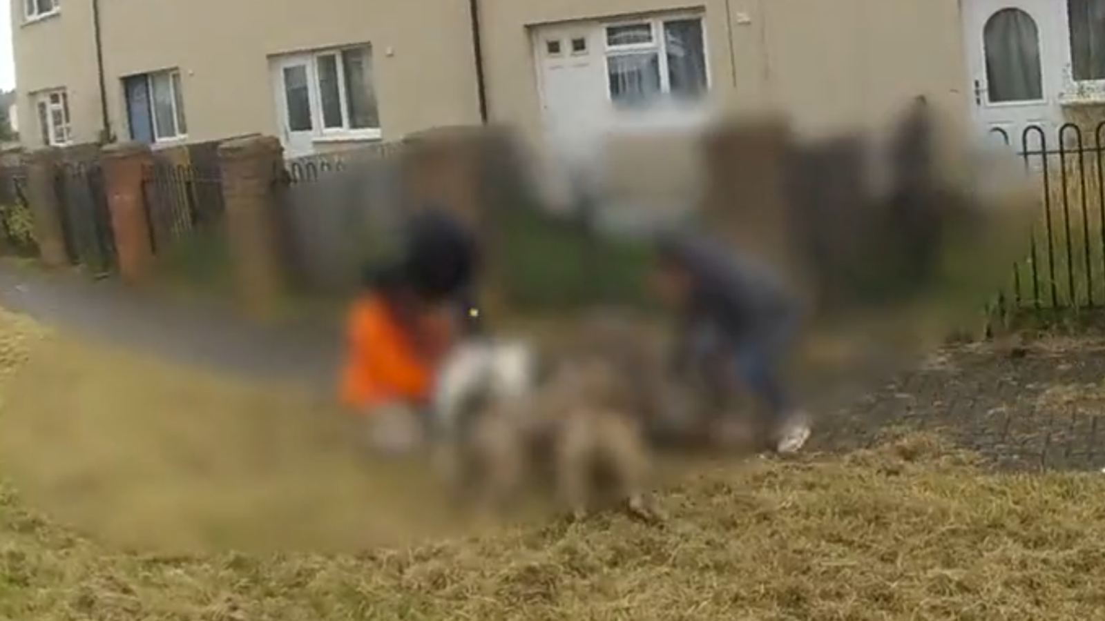 Police release bodycam footage after dog tasered and put into wheelie bin | UK News