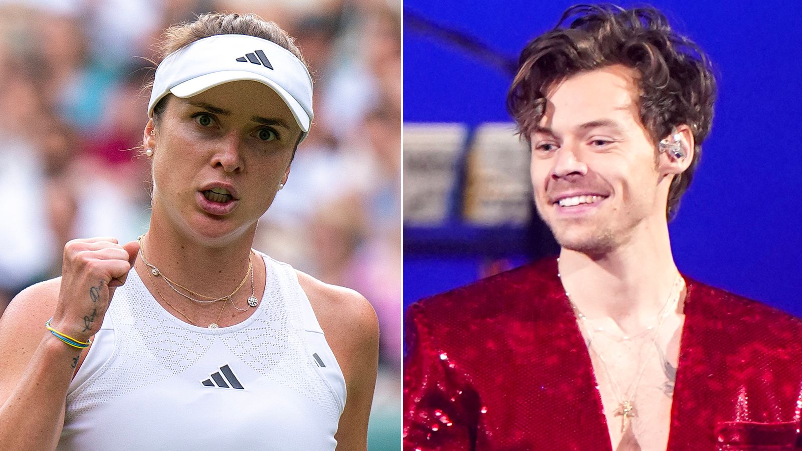 Harry Styles convida Elina Svitolina para uma nova data da turnê depois de ser forçada a perder o show de Viena pela corrida de Wimbledon |  notícias britânicas