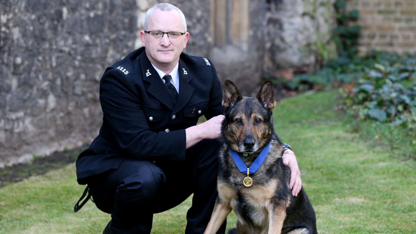 Stabbed hero police dog and Britain's Got Talent star Finn dies at 14
