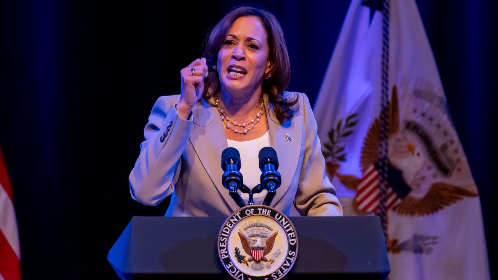 Kamala Harris criticises 'extremists' in Florida for new curriculum suggesting some benefitted from slavery
