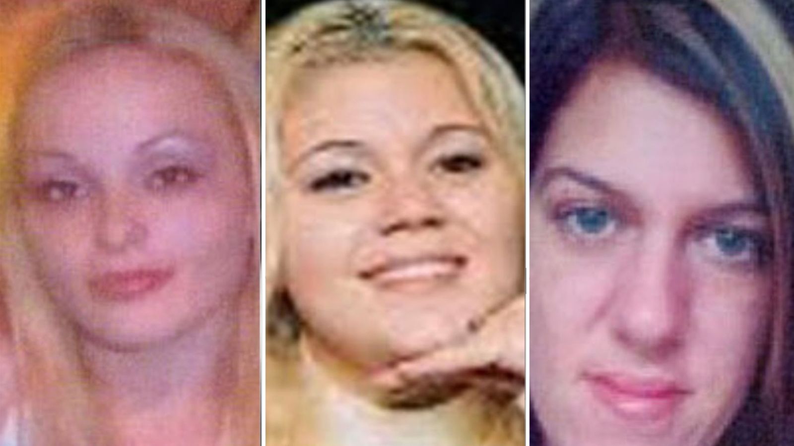 Gilgo Beach murders investigators identify woman's body found in 1996