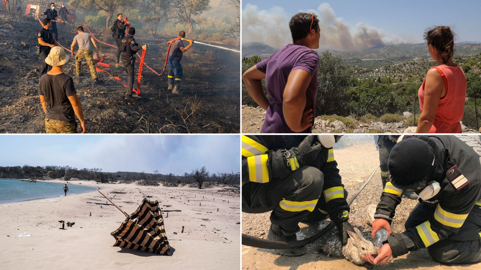 TUI cancels all flights to wildfire-hit Rhodes up to Friday - as hundreds of stranded British tourists rescued