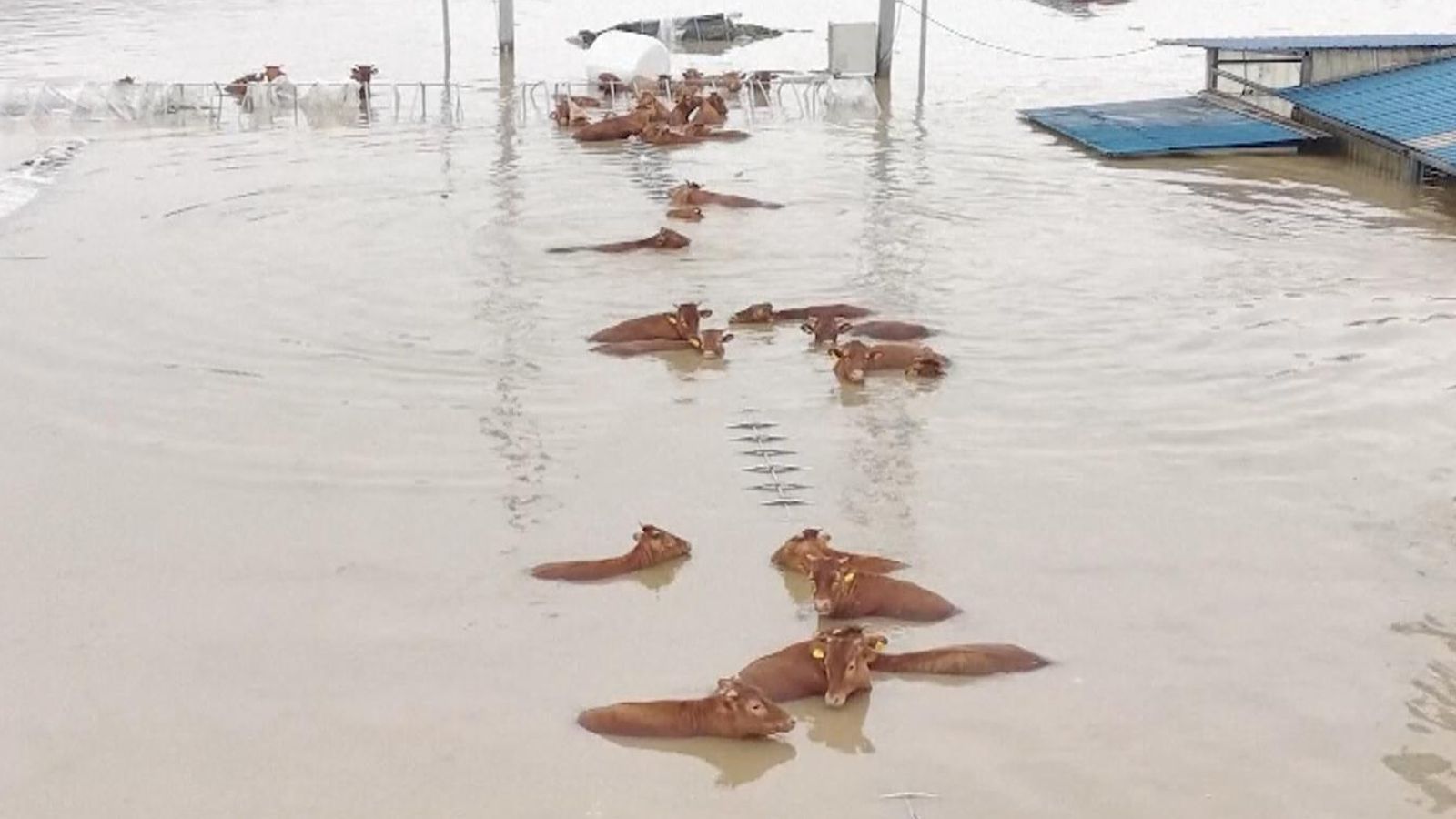 SOUTH KOREA FLOODING visual data 7