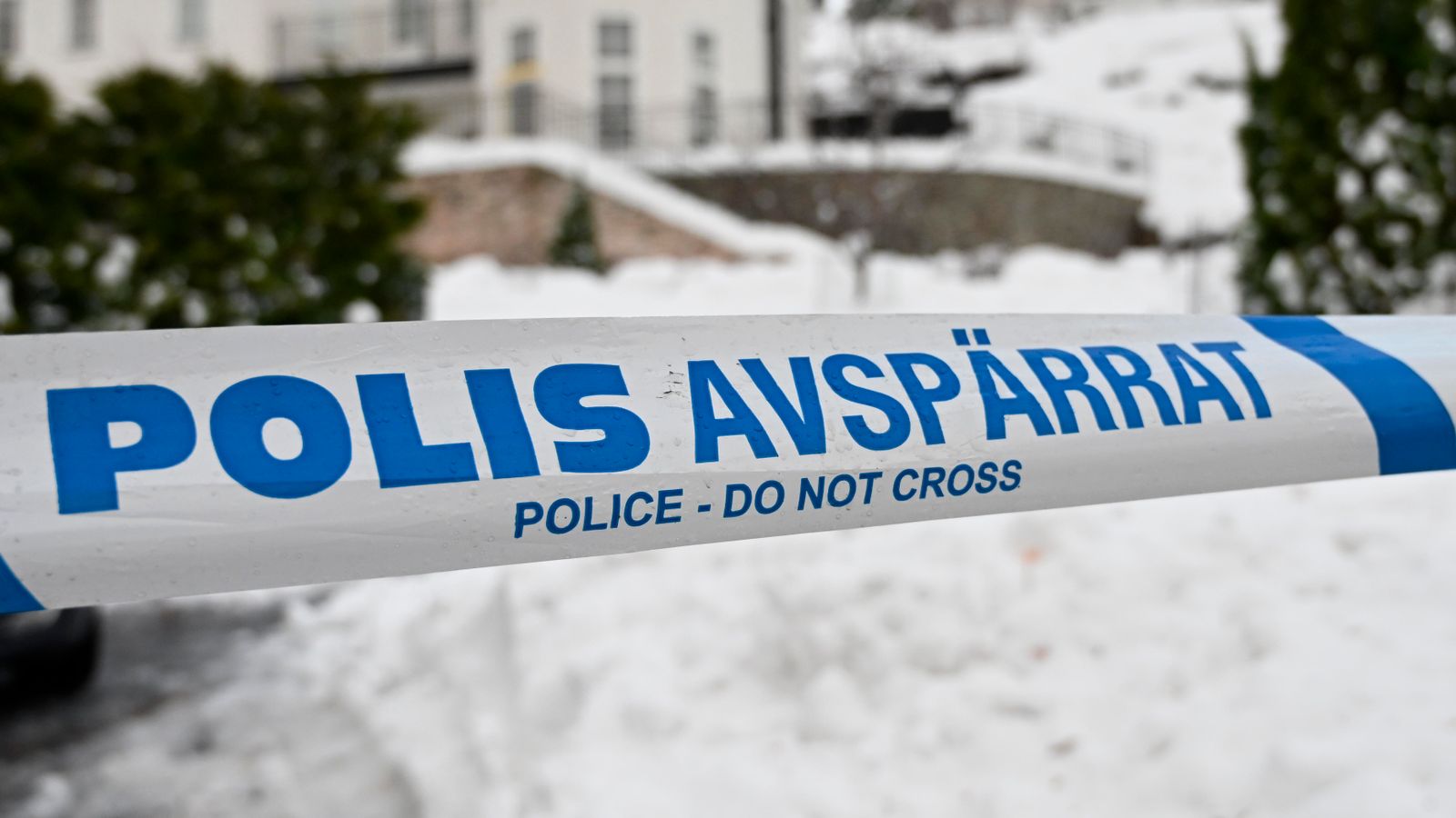 Swedish man charged after placing useless companion in freezer and cashing in her pension