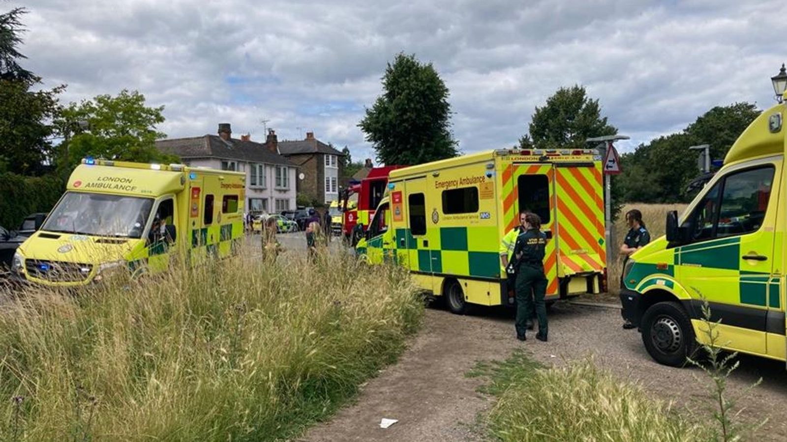 'Absolutely shell-shocked' parents carry limping girl away from Wimbledon school crash scene