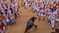 Revelers stand around the cow as it enters the bull ring at the end of the fourth running of the bulls during the San Fermin fiestas in Pamplona, Spain
Pic:AP