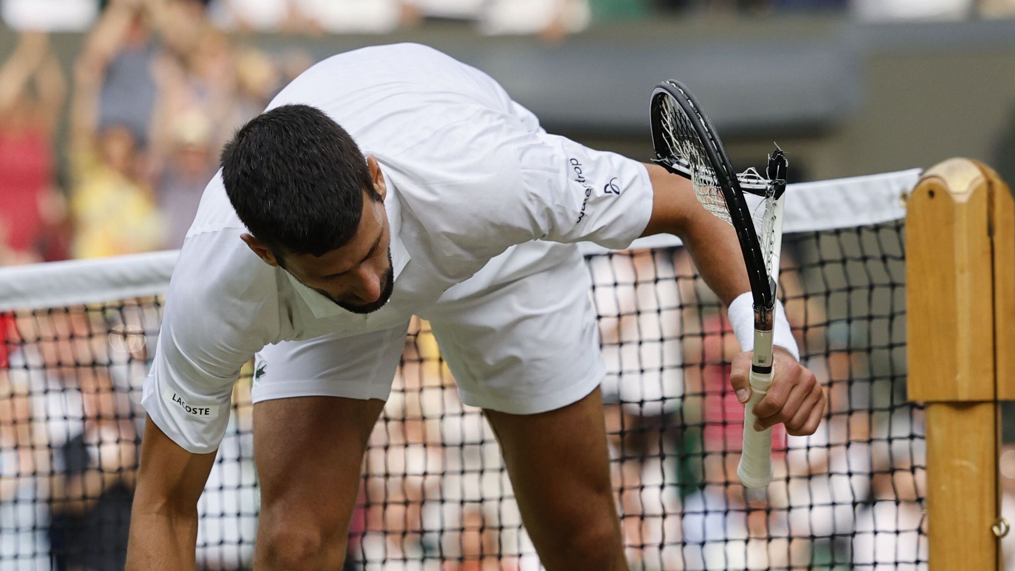 Djokovic alcaraz. Карлос Алькарас (теннисист). Джокович Уимблдон. Уимблдон 2023. Новак Джокович ломает ракетку.