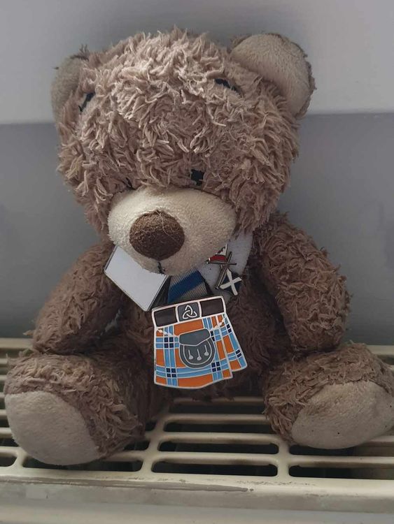 Mini Tyson teddy bear. Pic: Alastair Tyson