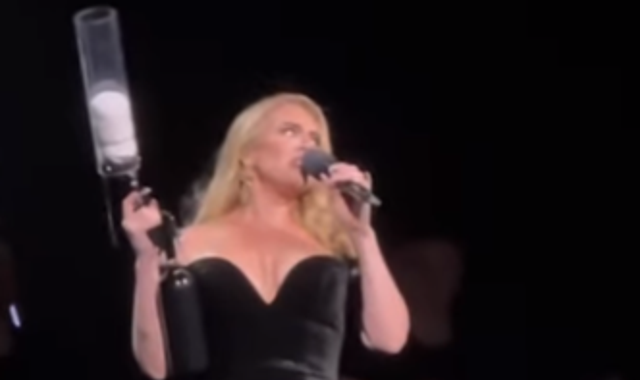 Adele warns fans about throwing items on stage - Vimarsana News