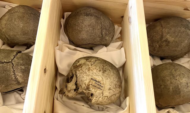 Irish skulls snatched from graveyard finally returned to Inishbofin island - Vimarsana News