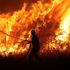 Majority of fires in Greece were started by 'human hand', official says