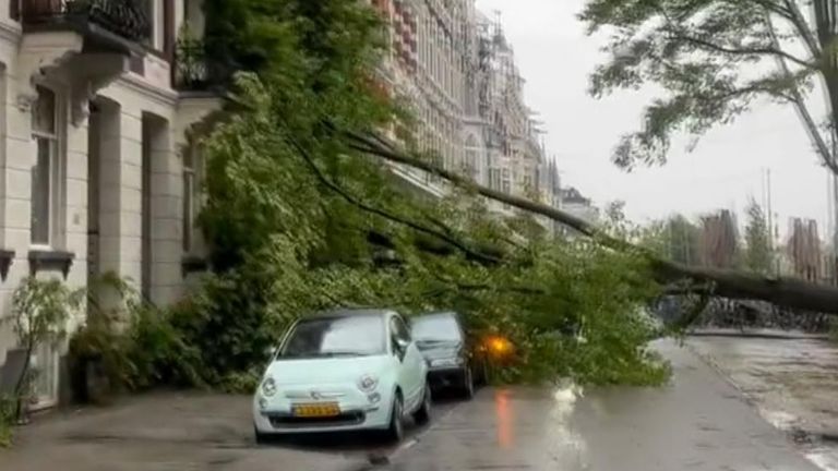 Tree is uprooted in Amsterdam during a severe storm