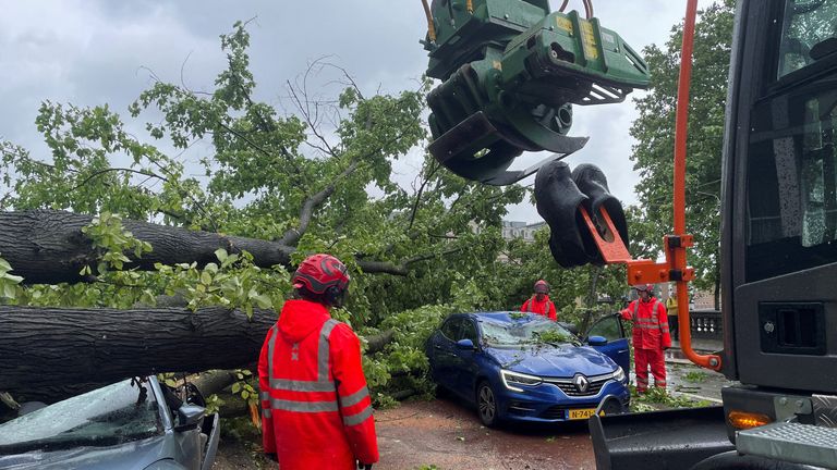 Fallen trees lie on cars after a storm hit Amsterdam