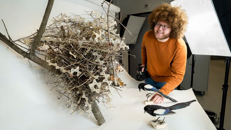 Auke-Florian Hiemstra with a nest on display at Naturalis Biodiversity Centre. Pic: Alexander Schippers/Naturalis