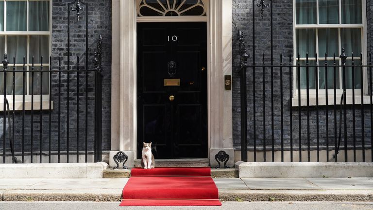 Larry the cat sits on the red carpet at the entrance of 10 Downing Street, London, ahead of the meeting between US President Joe Biden and Prime Minister Rishi Sunak. Picture date: Monday July 10, 2023.