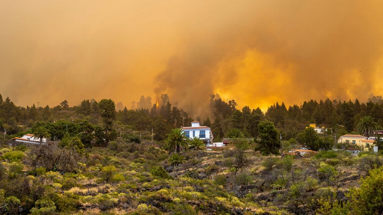 Flames near a house in the forest fire declared in La Palma, on July 15, 2023, in Puntagorda, La Palma, Canary Islands (Spain). This fire declared in the early hours of this morning in urban forest area in the municipality of Puntagorda already affects about 200 hectares and has burned 11 houses. In addition, the Emergency Coordination Center has announced the evacuation of the population center of Tijarafe due to the advance of the fire. At the request of the Cabildo, the fire has been upgraded to level 2 of severity. Thus, the Canary Islands Government has assumed the management of the emergency in application of the Special Plan for Civil Protection and Emergency Attention due to Forest Fires in the Autonomous Community of the Canary Islands (INFOCA). 15 JULY 2023;FIRE;FOREST FIRE;CANARY ISLANDS;SMOKE;EVACUEES;EVACUATED;BURNING;UNDERGROWTH Europa Press 07/15/2023 (Europa Press via AP)