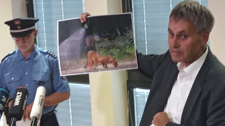 Alman yetkililer, tespit edilen hayvanın bir video fotoğrafına karşı bir dişi aslanla dalga geçti.