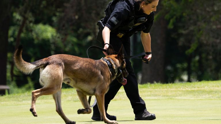 A uniformed Secret Service Police officer guides her police dog to check the second hole as they conduct a security sweep for President Joe Biden playing golf at Andrews Air Force Base, Md., Sunday, June 4, 2023. (AP Photo/Manuel Balce Ceneta)