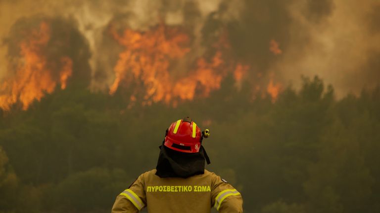 Firefighters in Kandili a village about 30 km west of Athens are struggling to contain a wildfire which is spreading with alarming speed. This battle of nature and man is being played out in several places around the capital. The effort to contain the flames is made even more difficult by the intense heat. Greece is asking for support from the EU to deal with the crisis. 