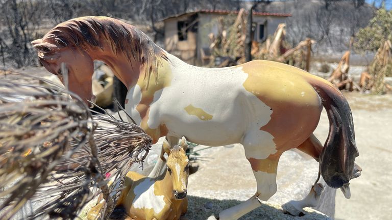 Dimitris&#39; stable was destroyed by wildfires which have torn through Kiotari, Rhodes, Greece. Siobhan Robbins eyewitness VT.