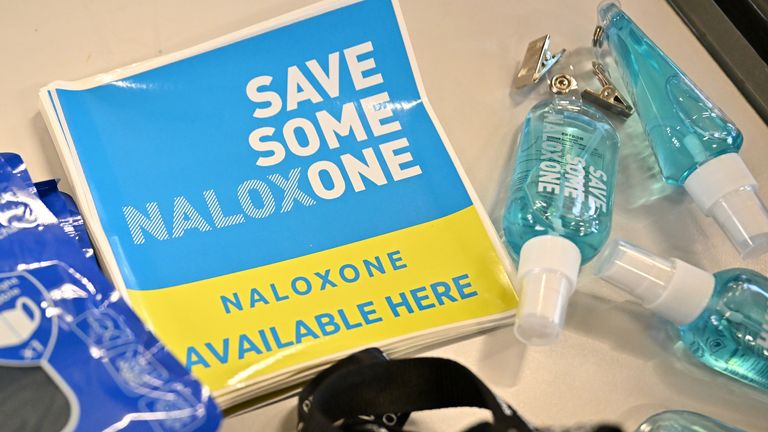 Other proposals include increasing access to the life-saving drug naloxone