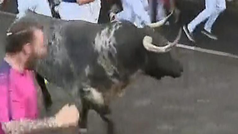 Bull-running in Pamplona, Spain