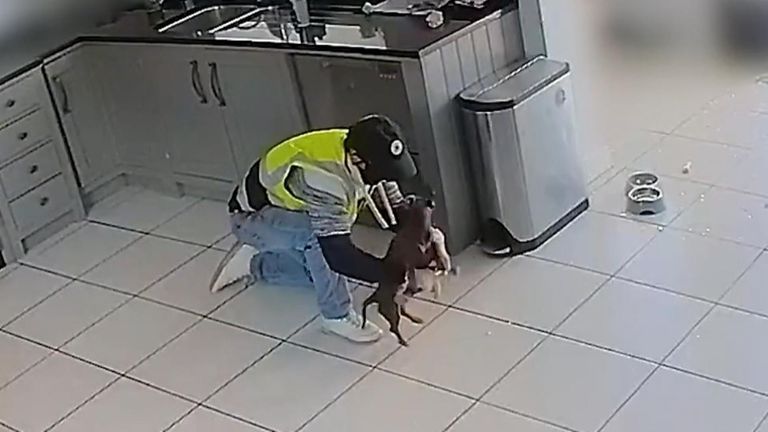 Dachshund dog stolen from Essex home in afternoon burglary