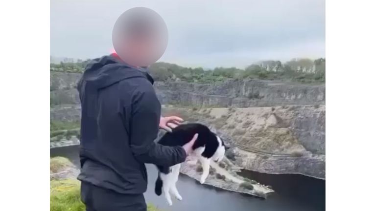 A teenager has been arrested after video footage showed  him appearing to throw a cat off a quarry ledge in Carnforth 