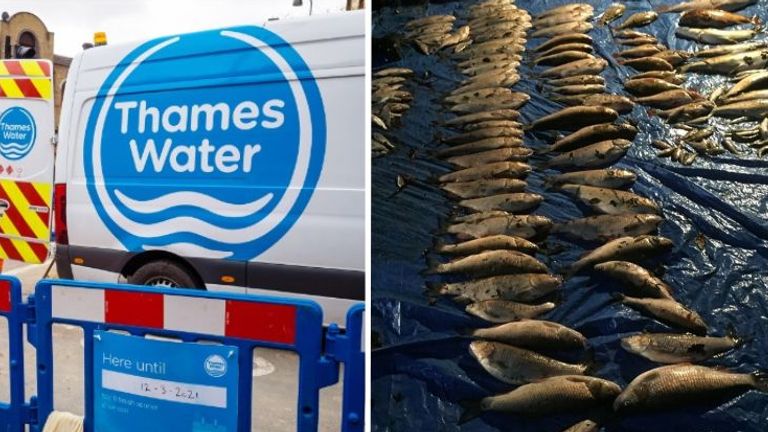 Thames Water Reveals Leap In Pollution Incidents | Business News | Sky News