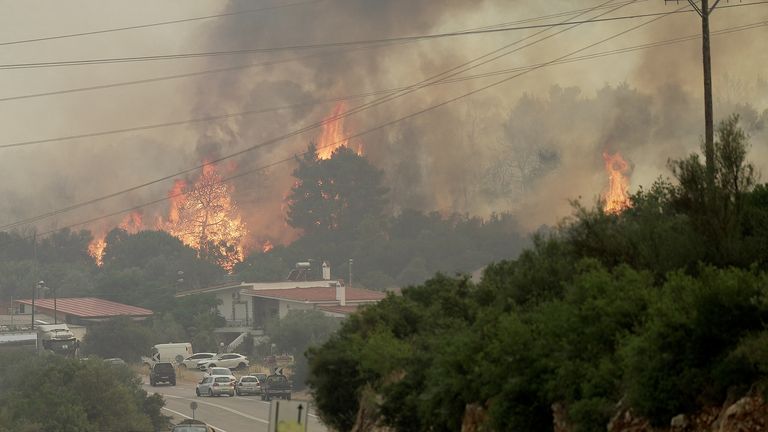 A wildfire burns near the village of Agios Sotira, west of Athens, Greece, July 20, 2023. REUTERS/Fedja Grulovic
