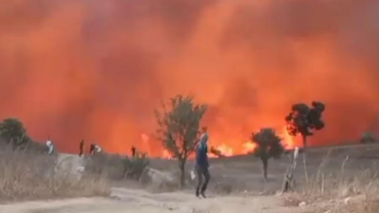 In Algeria, wildfires have killed 34 people, including 10 soldiers attempting to contain the flames.
